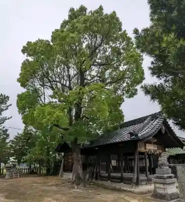 神明社(金柳町)(愛知県)