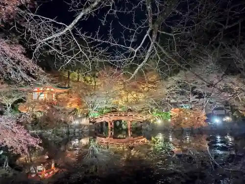 醍醐寺(京都府)