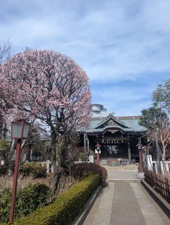 白山神社(東京都)