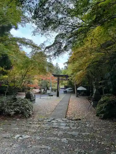 大矢田神社(岐阜県)