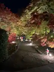 東福禅寺（東福寺）(京都府)