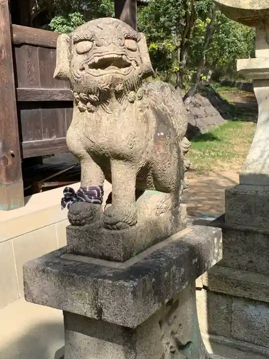 白髭神社の狛犬