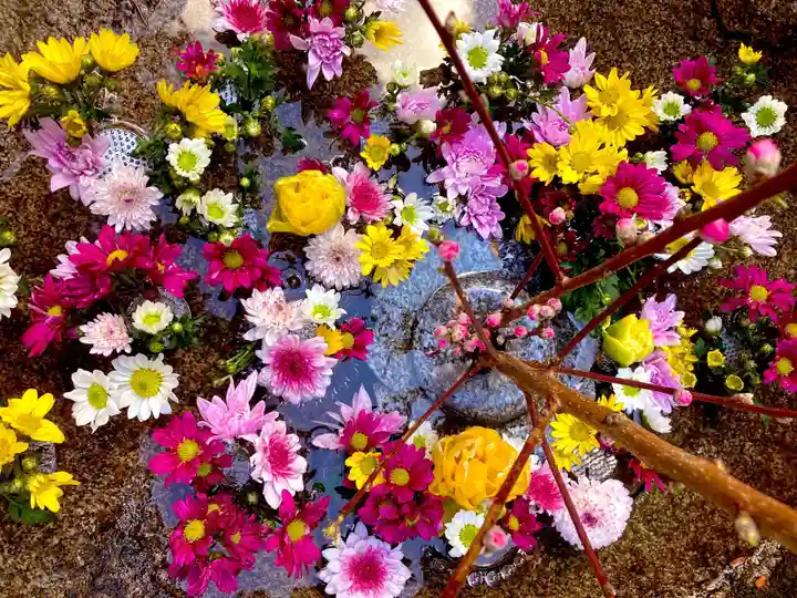 高龍寺(愛媛県)