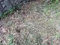 名称不明(神社)の動物