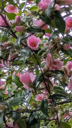 石山寺(滋賀県)