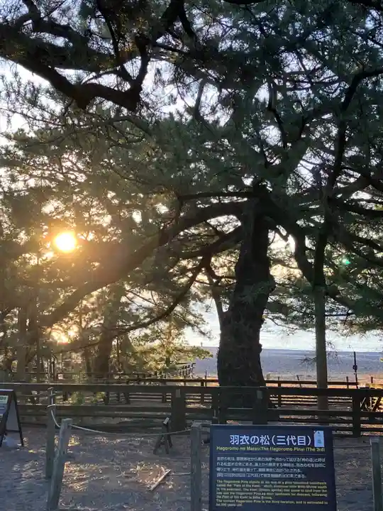 御穂神社(静岡県)