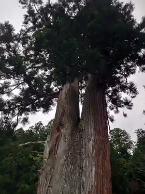 室生龍穴神社(奈良県)