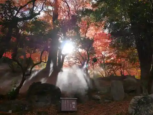 洞窟観音・徳明園・山徳記念館(群馬県)
