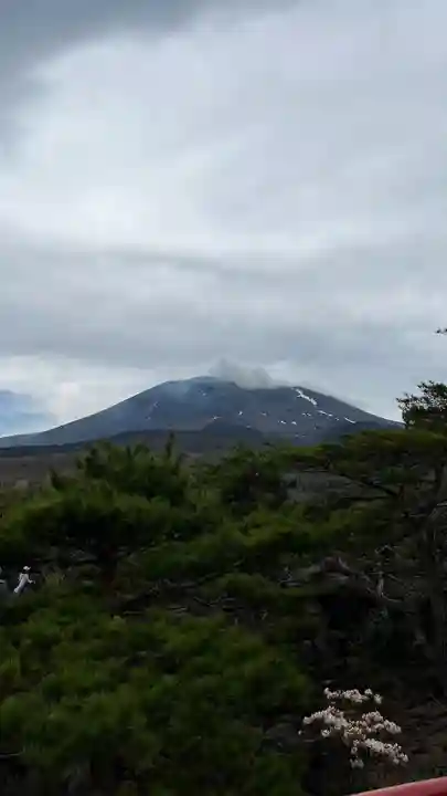 寛永寺別院浅間山観音堂の景色