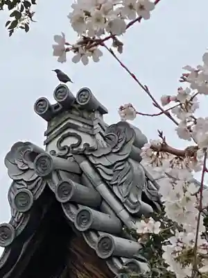 實相寺（実相寺） (京都府)