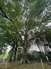 水戸八幡宮(茨城県)