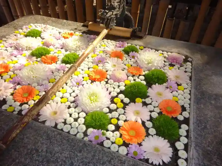 高円寺氷川神社の手水舎