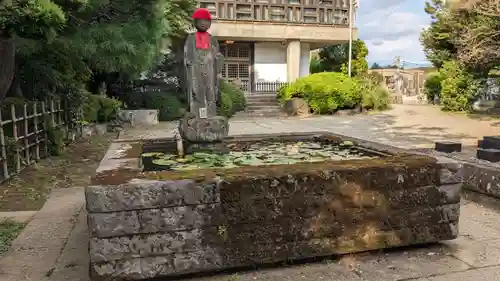 福泉寺の庭園