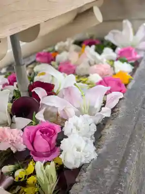 鳩森八幡神社の手水舎