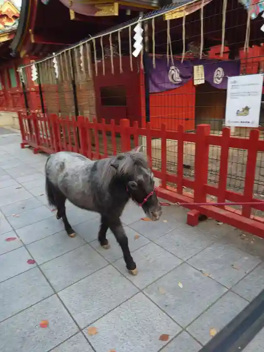 神田神社(神田明神)(東京都)