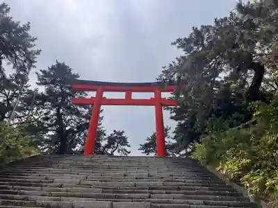 函館護國神社の鳥居