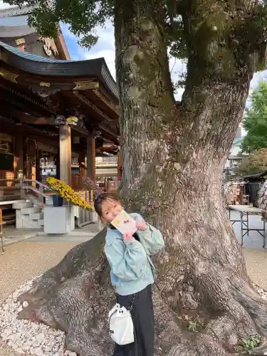 湯島天満宮(東京都)