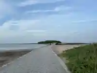 青島神社(青島神宮)(宮崎県)