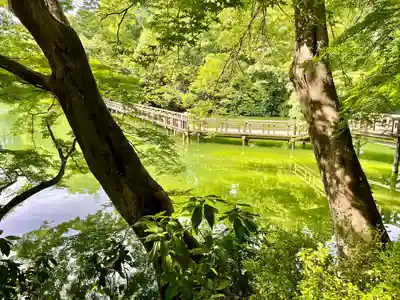 親之井稲荷(尊)跡(東京都)