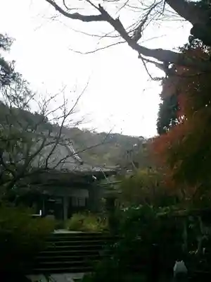 安國論寺（安国論寺）の本殿・本堂