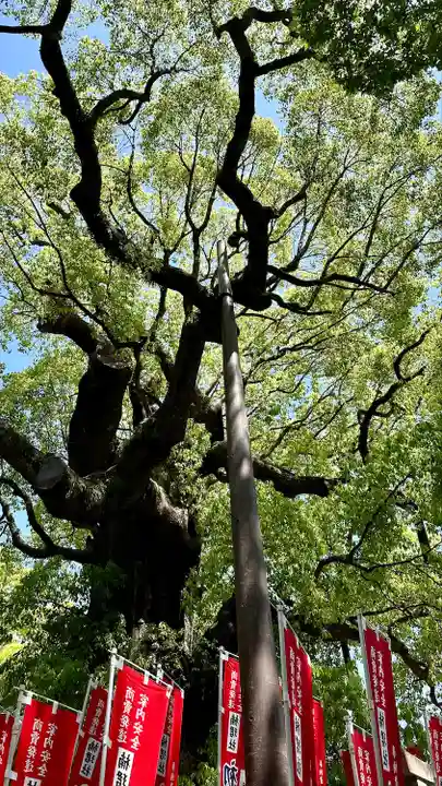 住吉大社の自然