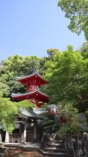 金泉寺(徳島県)