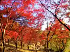 足利織姫神社の自然