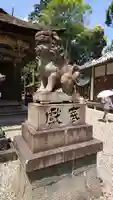 柏原八幡宮の狛犬