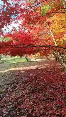 鶏足寺(滋賀県)