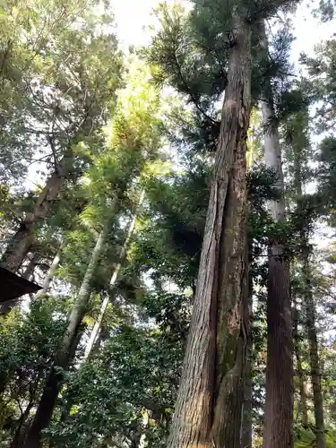 北野神社(福島県)