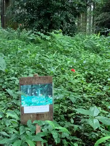 岩戸別神社の自然