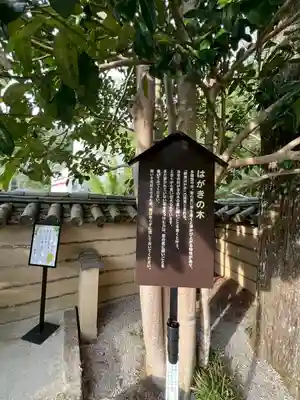 法起院(奈良県)