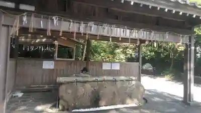 八幡古表神社の手水舎