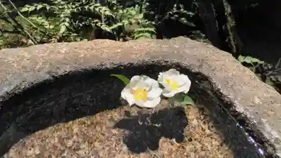 慈受院門跡の手水舎