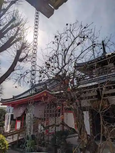 成願寺(東京都)