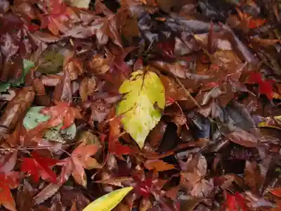 天王山 安楽寺(福井県)