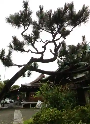 本郷氷川神社(東京都)