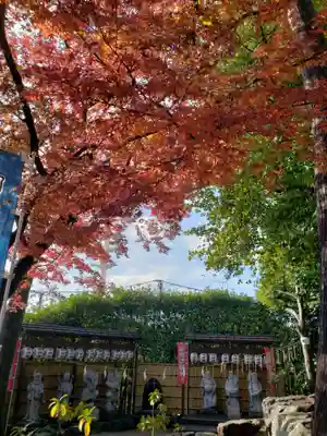 中野沼袋氷川神社(東京都)