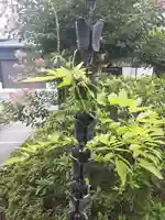 西方山極楽寺(岐阜県)