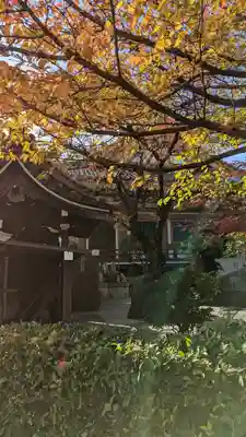 壬生寺(京都府)