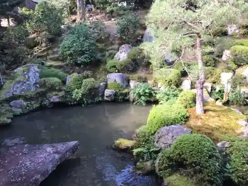 滋賀院門跡の庭園