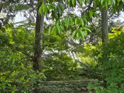 唐招提寺(奈良県)