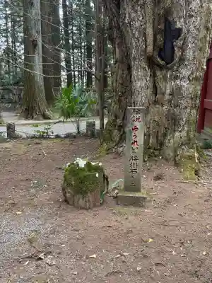 観音寺（寺山観音）の{uncategorized: "未分類", other: "その他", undefined: "問題あり", building: "その他建物", grave: "お墓", sacred_gate: "鳥居", guardian: "狛犬", statue: "像", buddha: "仏像", history: "歴史", nature: "自然", garden: "庭園", animal: "動物", pagoda: "塔", temizu: "手水舎", mountain_gate: "山門・神門", sanctuary: "本殿・本堂", subordinate: "末社・摂社", art: "芸術", scenery: "景色", jizo: "地蔵", ema: "絵馬", goshuin: "御朱印", omikuji: "おみくじ", items: "授与品その他", amulet: "お守り", goshuincho: "御朱印帳", eats: "食事", festival: "お祭り", votive_dance: "神楽", shichigosan: "七五三参", wedding: "結婚式", experience: "体験その他", initially: "初詣", around: "周辺", anti_infection: "感染症対策"}