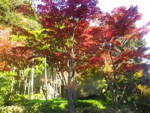 海蔵寺の景色