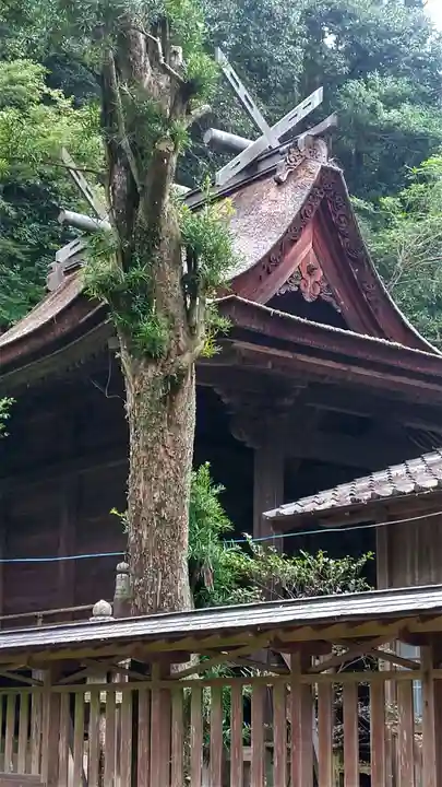大隅神社(岡山県)