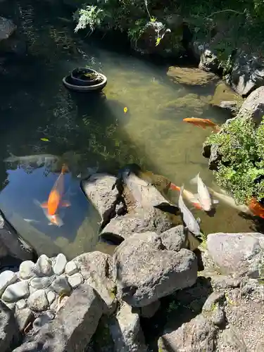 金蛇水神社(宮城県)