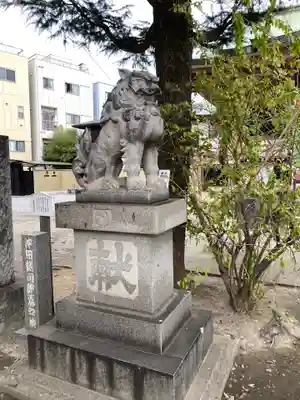 今戸神社の狛犬