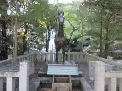 闘鶏神社の狛犬