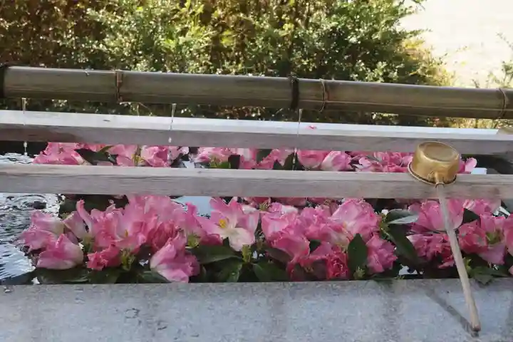 豊景神社の手水舎