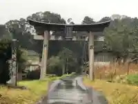 小虫神社の鳥居